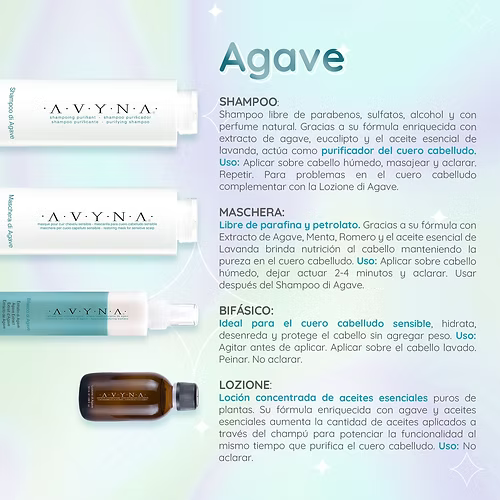Kit di Agave (Cabello graso)